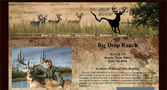 Desktop Screenshot of bigdropranch.com
